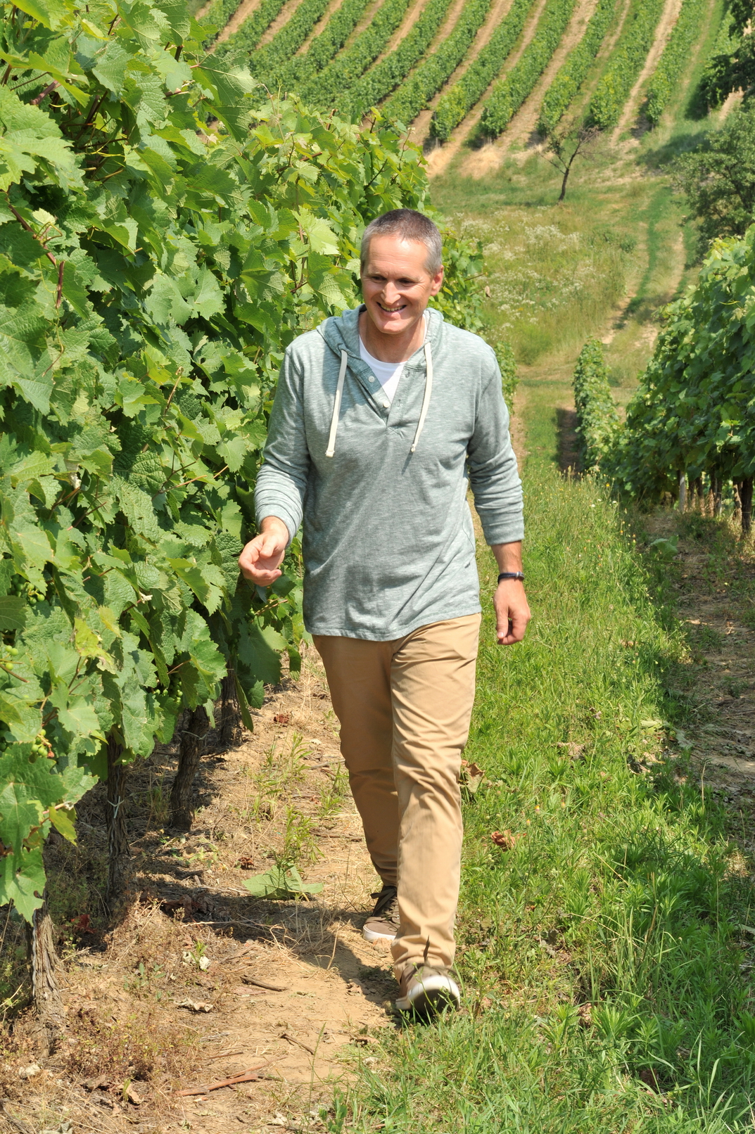 A Bujdosó Pincészetnél már javában zajlik a szüret