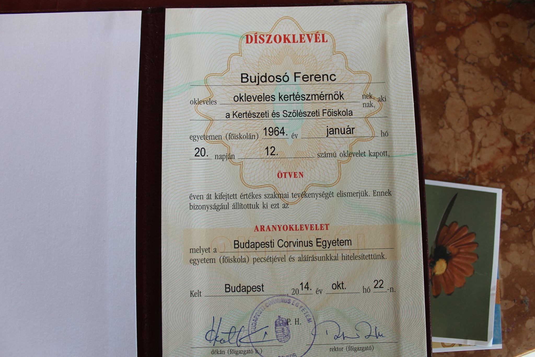 Aranydiploma, papírmunka, finomseprő